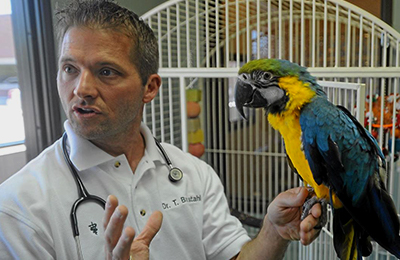 doctor b holding parrot