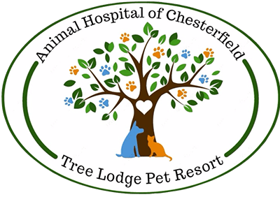 animal hospital of chesterfield logo