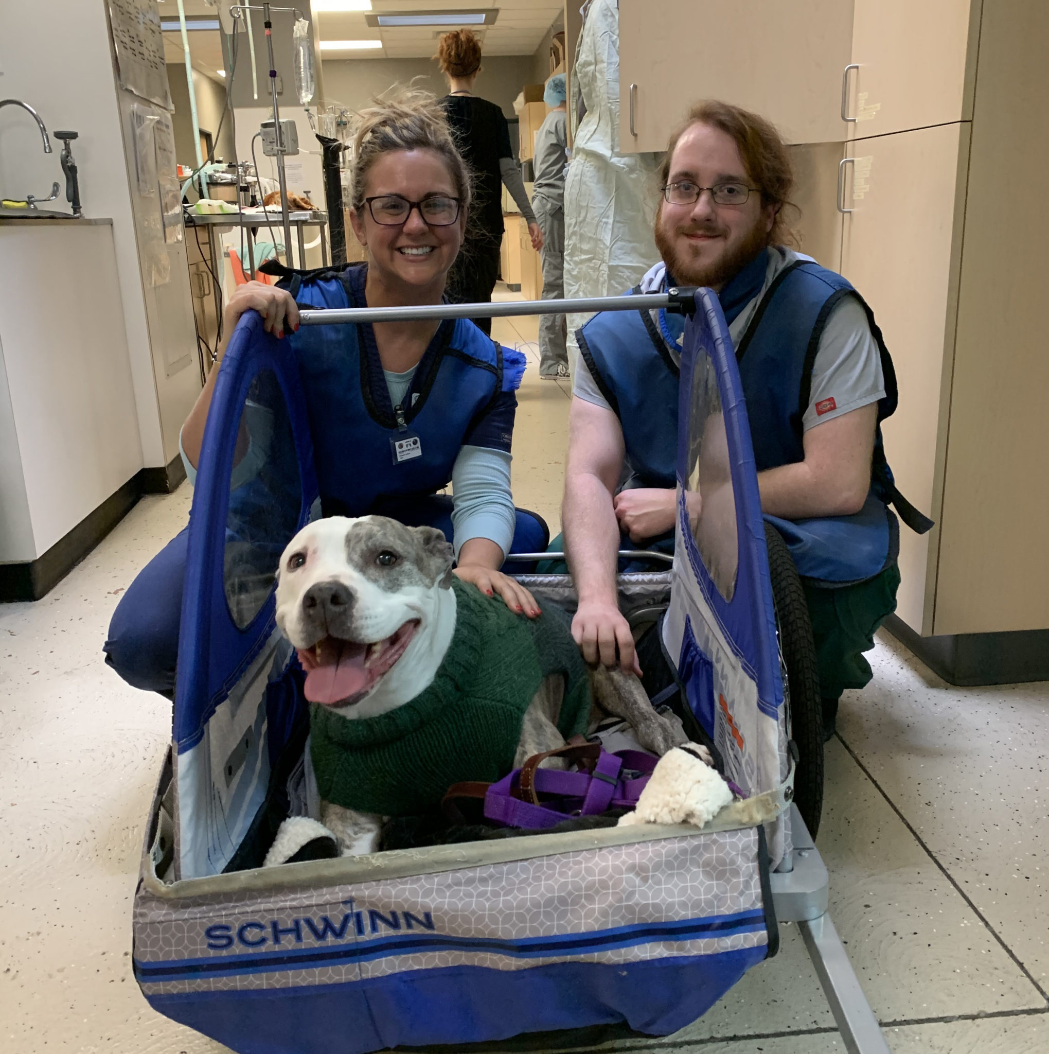 Learn About Our Veterinary Employee Benefits Veterinary United