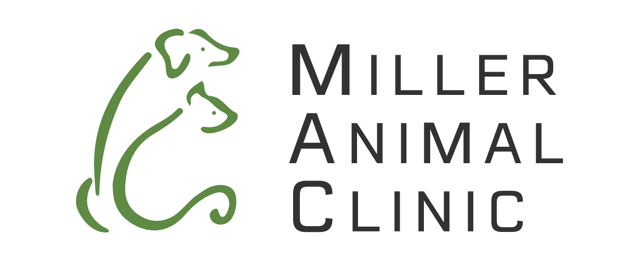 See All Our Locations in Michigan | Veterinary United