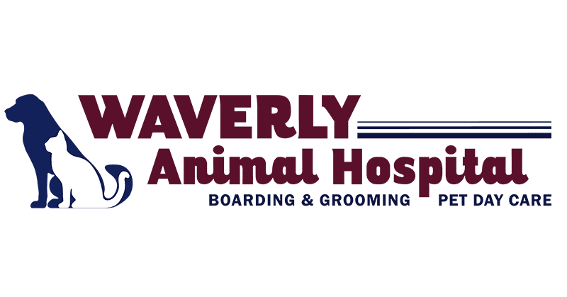 waverly animal hospital